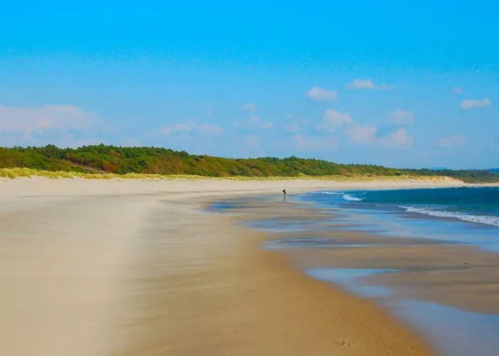 Cabedelo Spot - Beachside Vacations * 维亚纳堡