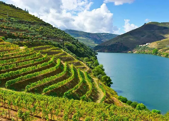 Cabedelo Spot - Beachside Vacations * 维亚纳堡